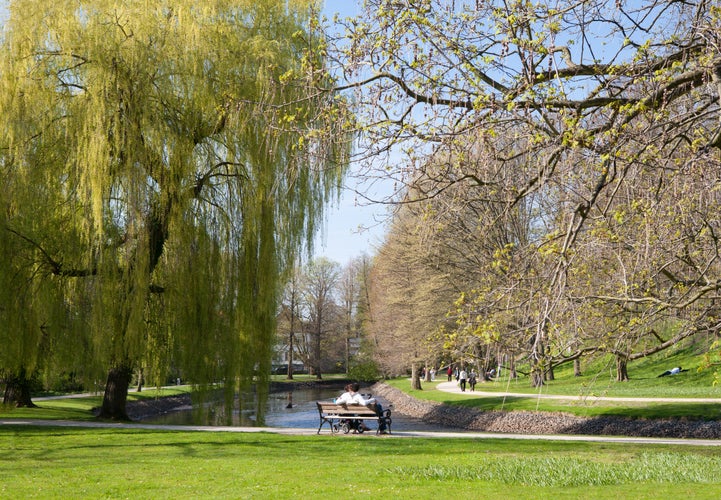 Photo of Spring in Park Celle, Germany.