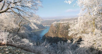 New Year's Eve Cruise on the Rhine - AMADEUS Cara (Cologne - Cologne)