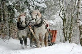 Zakopane e giro in slitta con falò - Gita giornaliera privata da Cracovia