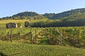 Trasferimento Siena-Firenze con visita al Chianti e degustazione di vini