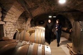 Historic Center of Dijon : Discovery Tasting Wine Burgundy