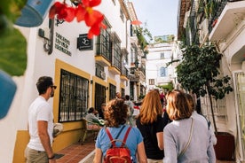 Casco antiguo de Marbella: recorrido privado a pie