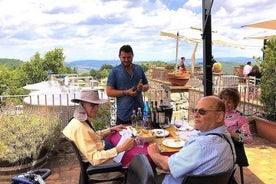 基安蒂 (Chianti) 和圣吉米尼亚诺 (San Gimignano) - 2 家酒庄搭配午餐