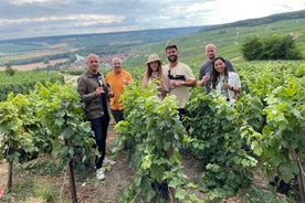 From Paris: Small-Group Champagne Tour with 3-Course Lunch