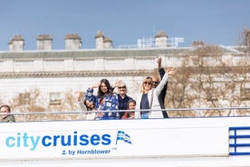 Thames River Hop-On Hop-Off Cruise in London with 24-Hour Access