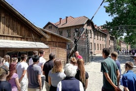 Auschwitz-Birkenau: Snabbbiljett & guidad tur Ingen överföring