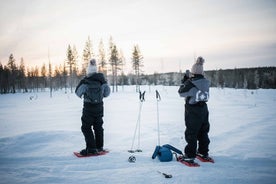 Halbtägiges Schneeschuhwanderabenteuer in Levi, Lappland