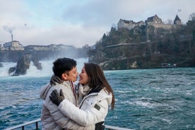 Rhine Falls Half-Day Tour from Zurich - Private Tour