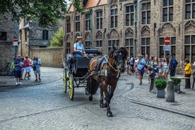 Full Day Sightseeing Day Trip to Bruges From The Hague