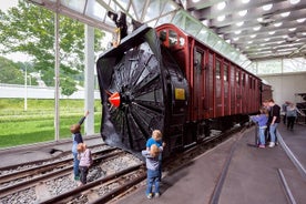 Biglietto d'ingresso per il Museo svizzero dei trasporti di Lucerna