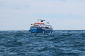 Excursion en bateau dans la baie de La Concha et l'île de Santa Clara