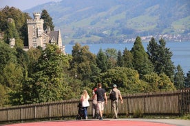 Privéwandeling langs het meer van Luzern en villa's