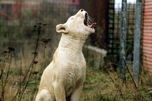 Blåvand Zoo