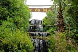 Billet til Parque da Mina