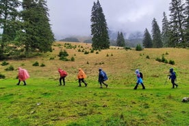 Tour privato a piedi di un'intera giornata a Pestera e Magura da Brasov