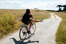 Elcykelutflykt i Camargue