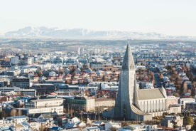 Reykjavík: Útsýnisflug með þyrlu og lending á fjallstindi