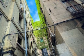 3-Hour Private Guided Walking Tour of Barcelona