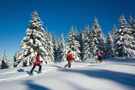 Photo of The winter view on the montains and ski lift station in French Alps near Chamonix Mont-Blanc.