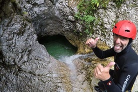 Bovec Multi Cañón Fratarica