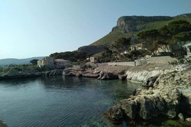 Transferência privada do aeroporto de Palermo de / para o porto de Trapani, Favignana