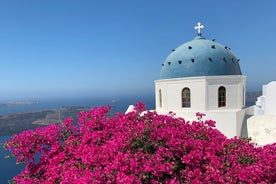 Privat skreddersydd tur - Utforsk Santorini med komfort og stil