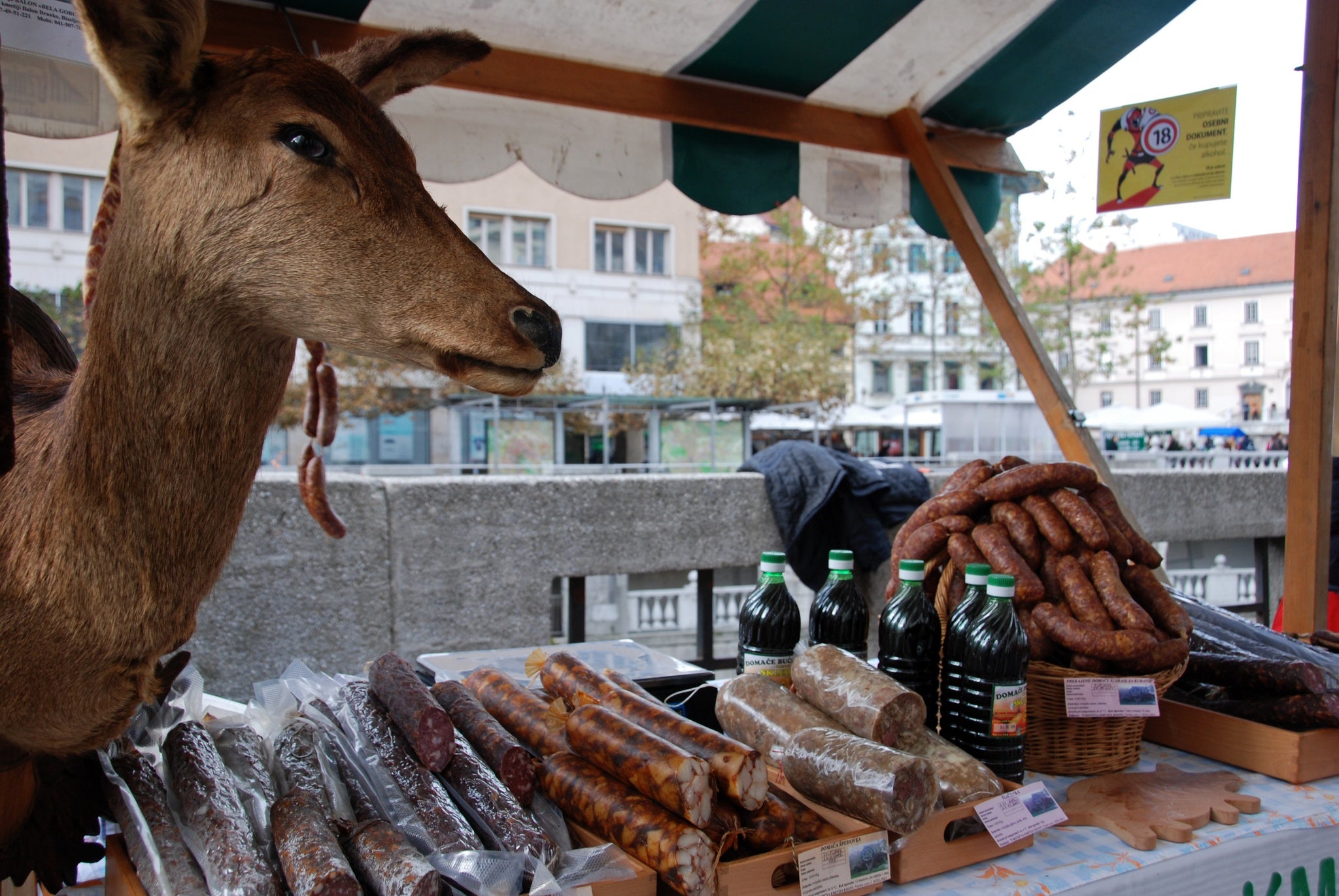 best time to visit Ljubljana for st martin festival.jpg