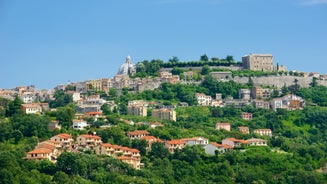 Aerial panoramic cityscape of Rome, Italy, Europe. Roma is the capital of Italy. Cityscape of Rome in summer. Rome roofs view with ancient architecture in Italy. 