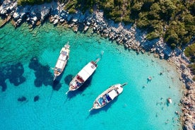 Bodrum Orak Island (Tyrkiske Maldiverne) Bådtur