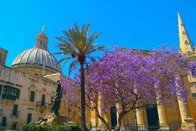 Caravaggio und Valletta.