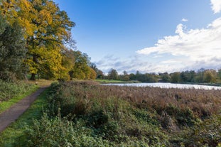 Abbey Fields