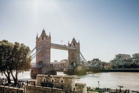 London: Ultimate One-Day Tour with Tower, Abbey & Cruise