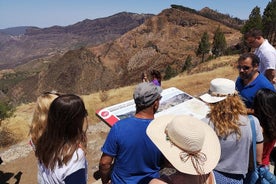 Dia inteiro para o Vulcão Bandama, Centro e Picos Altos de Gran Canaria e Roque Nublo