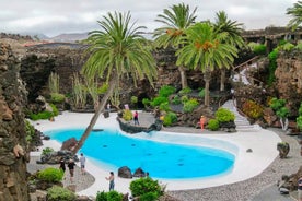 私人豪华全日蒂曼法亚之旅，Jameos del Agua 和 Cueva de los Verdes