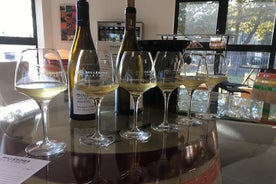 Degustación privada en Beaune: lo mejor de los vinos de Borgoña