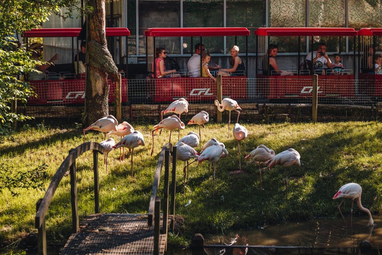 Parc Merveilleux.jpg