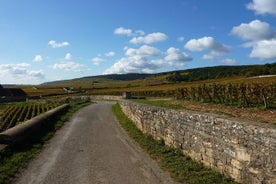 Visite privée d'une journée complète Burgundy Gourmet