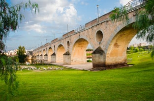 Puente de Palmas, Badajoz