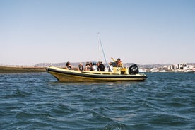 Éco-excursion à Ria Formosa - visite nature guidée de Faro à Ilha Deserta