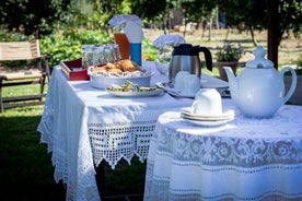 Excursão Terrestre Olympia: Antiga Fazenda Mel e Degustação de Azeite