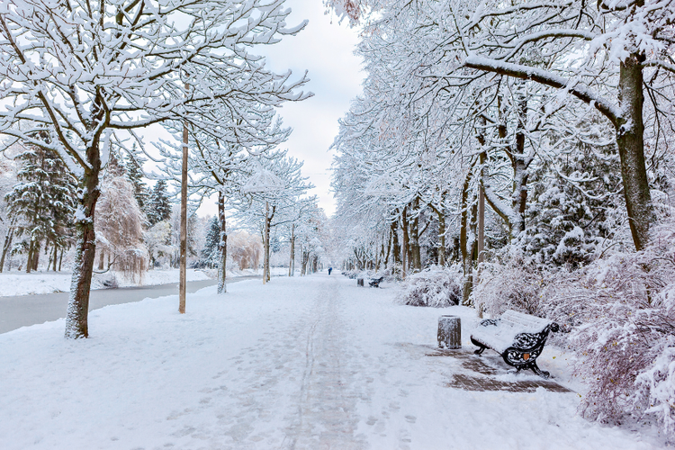 Palermo in Winter.png