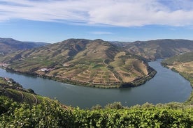 Excursion privée d'une journée dans le Douro Vinhateiro