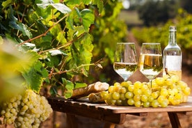 Visite guidée du marché provençal et de la dégustation de vins