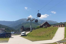 From Krakow: Slovakia Treetop Walk and Zakopane Tour