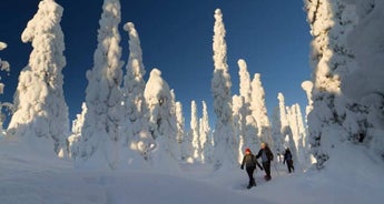 Snowshoeing in Finland