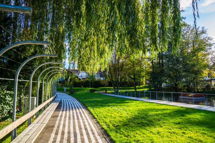 Germany, Green public park feuersee in schorndorf city with a small lake and fountains surrounded by willow trees, a relaxation area for people