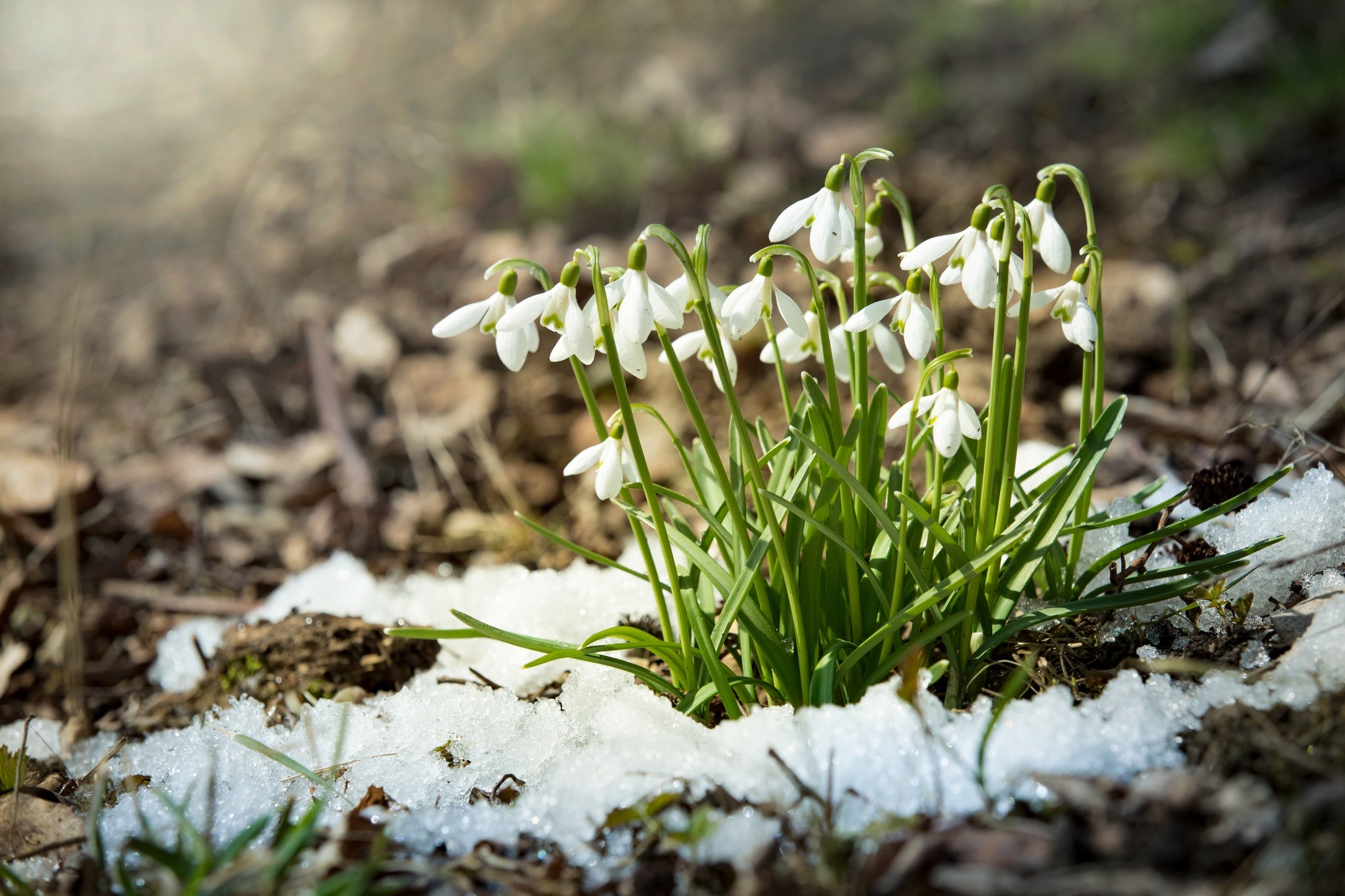 Spring-Weather-in-Finland.jpg