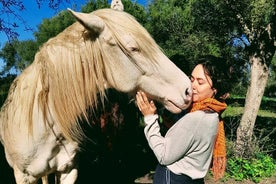 Persoonlijke Coaching Geassisteerd met Paarden