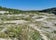 Cherry Hinton Chalk Pits, Cambridge, Cambridgeshire, East of England, England, United Kingdom