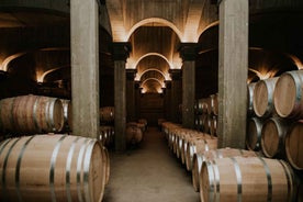 Logroño: Guided visit with tasting of 3 wines and appetizer at Viña Ijalba.